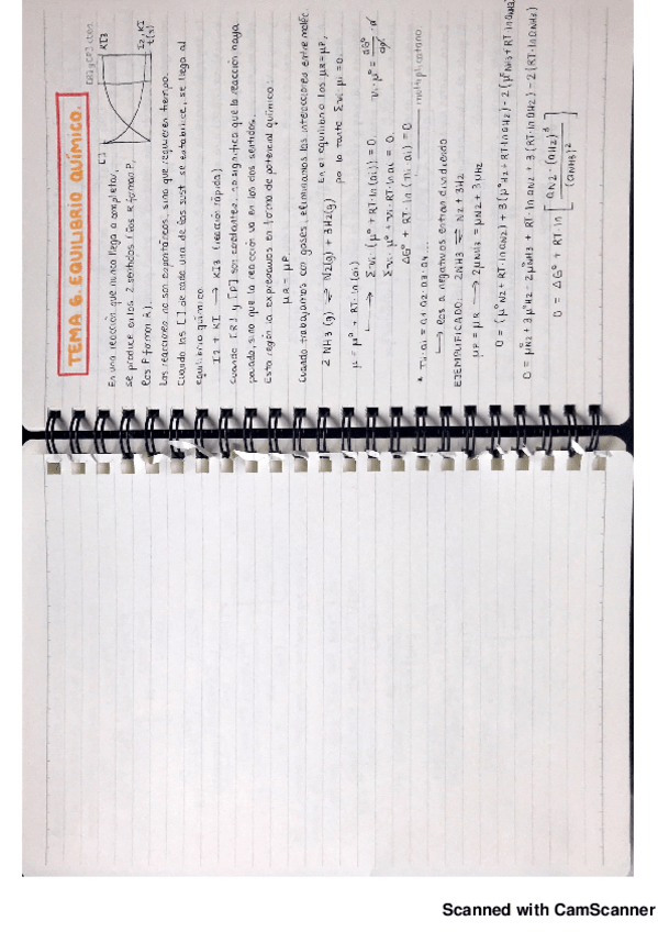 Miniatura del documento Tema 6 Fisico[6494].pdf