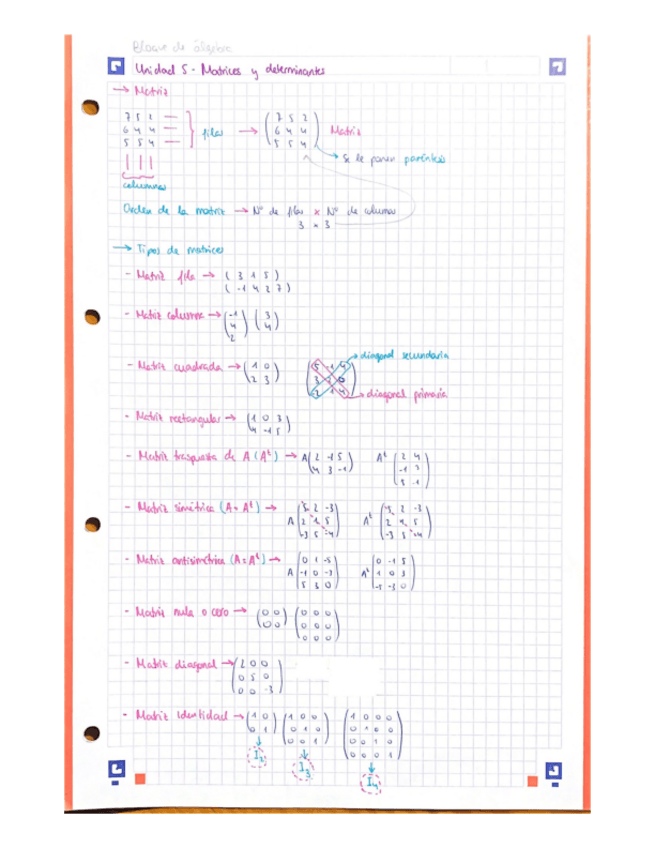 Miniatura del documento UNIDAD-5-MATRICES-Y-DETERMINANTES..pdf