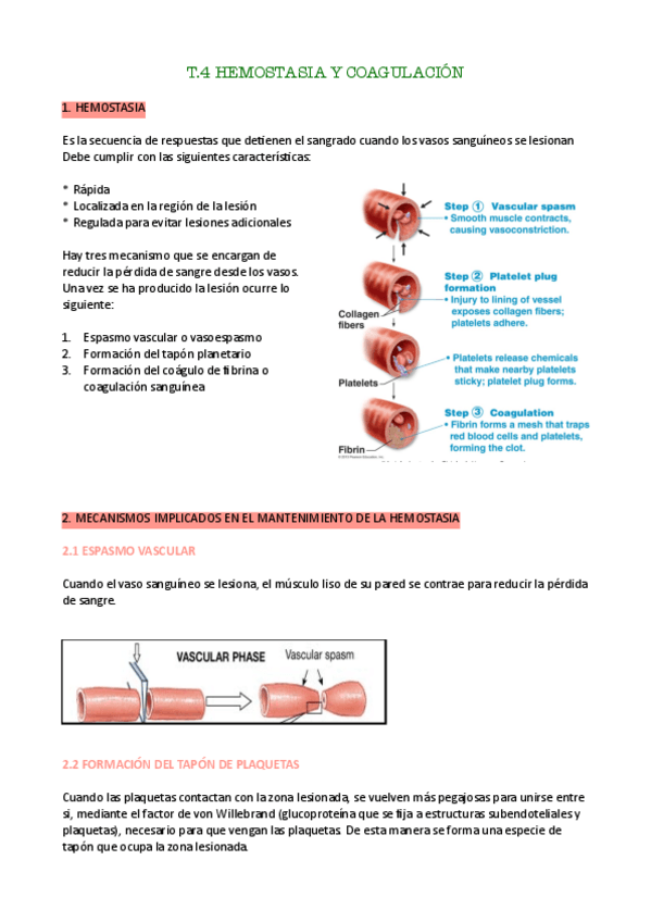 Miniatura del documento t.4-anato-pdf.pdf