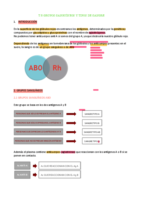 Miniatura del documento t.5-anato-pdf.pdf