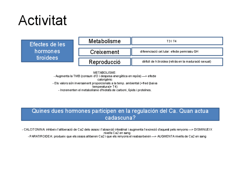 Miniatura del documento Activitats-T2.pdf