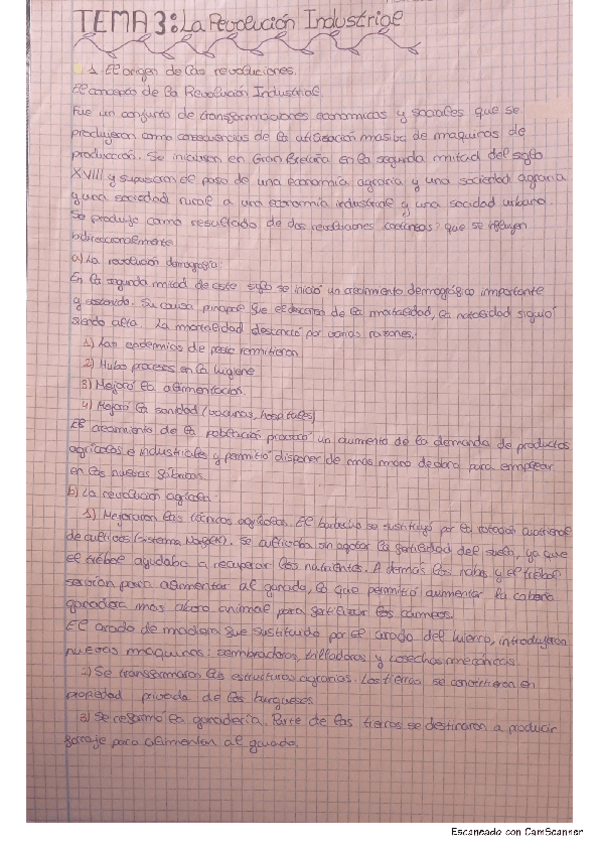 Miniatura del documento Revolucion-industrial.pdf