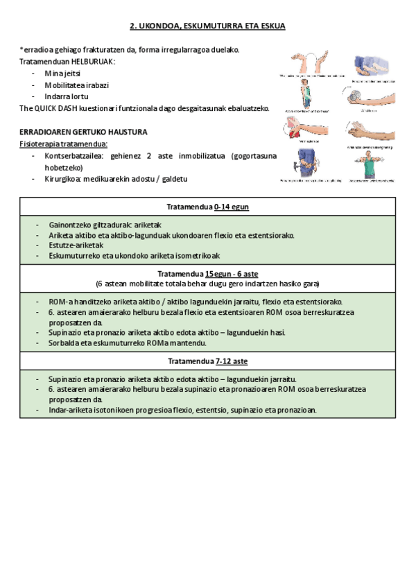 Miniatura del documento 2.-Ukondoa-eskumuturra-eta-eskua.pdf
