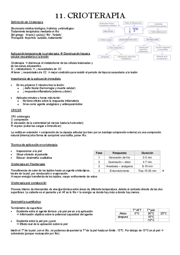 Miniatura del documento 11.-crioterapia.pdf