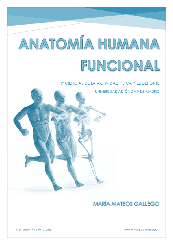 Miniatura del documento Temas 1 y 2. BLOQUE 1 Introduccion a la anatomia. .pdf