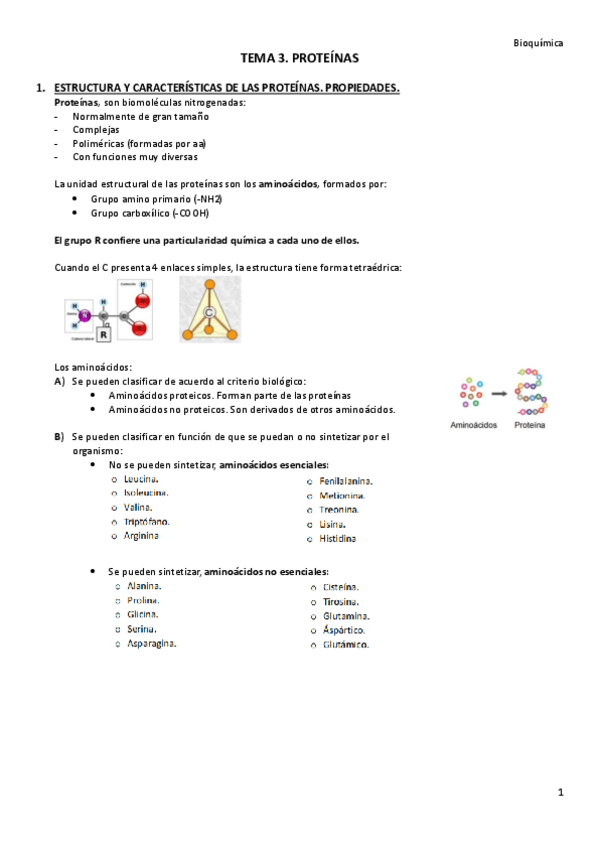 Miniatura del documento TEMA-3.-Proteinas.pdf