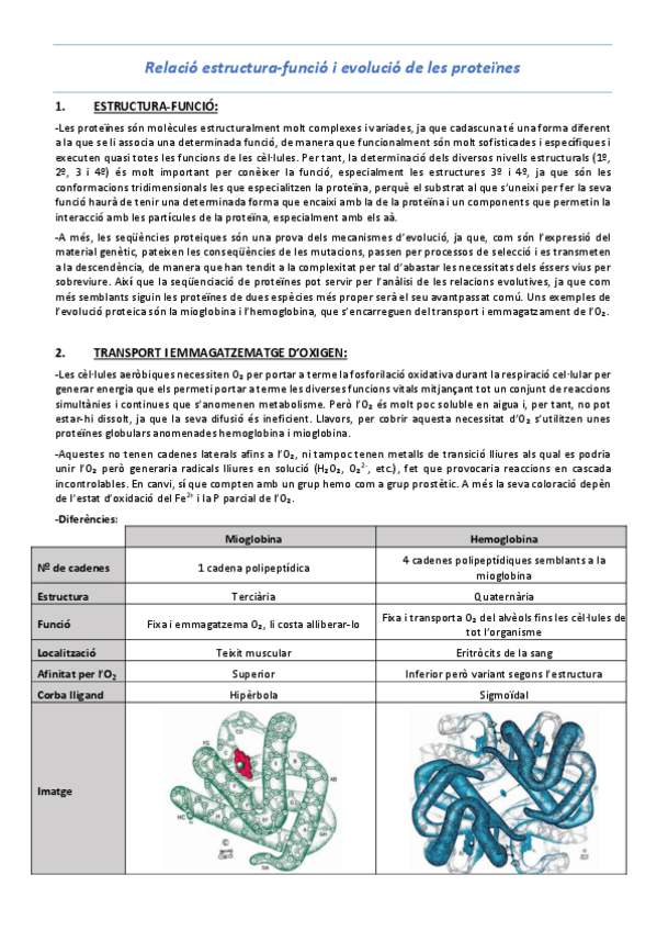 Miniatura del documento T5-Relacio-estructura-funcio-i-evolucio-de-les-proteines.pdf