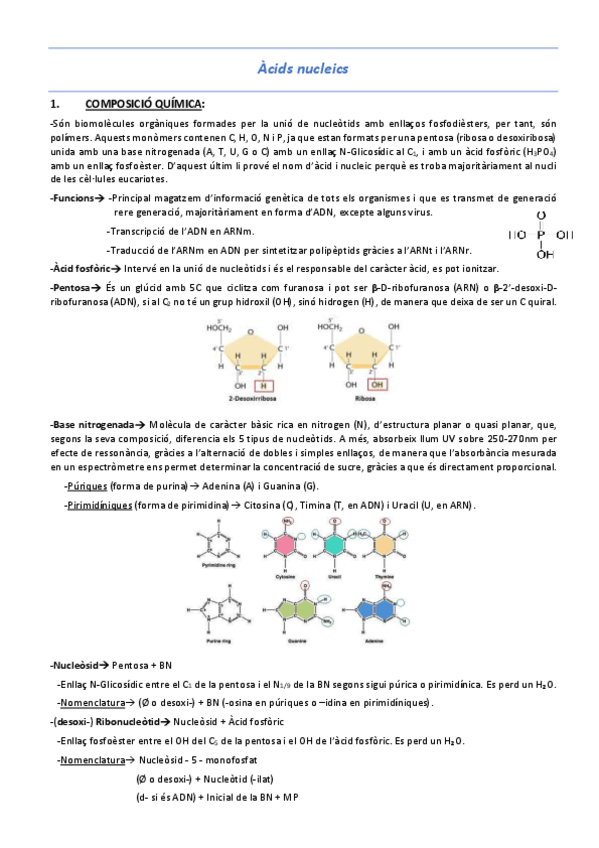 Miniatura del documento T4-Acids-nucleics.pdf
