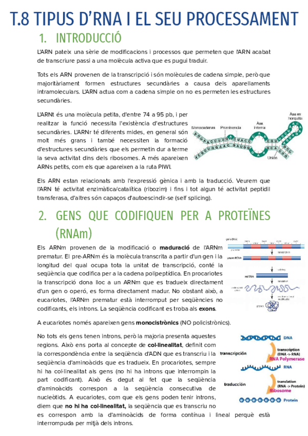Miniatura del documento T.8-TIPUS-DRNA-I-EL-SEU-PROCESSAMENT.pdf