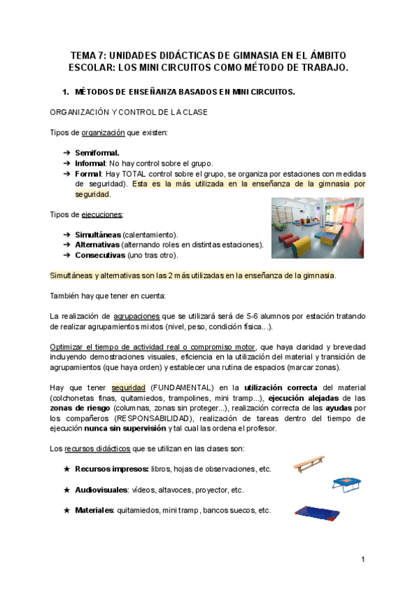 Miniatura del documento TEMA-7-INICIACION-AL-MEDIO-ELASTICO-GIMNASIA-DE-TRAMPOLIN.pdf
