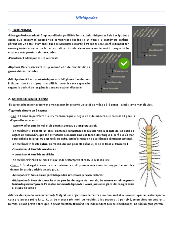 Miniatura del documento T8-Miriapodes.pdf