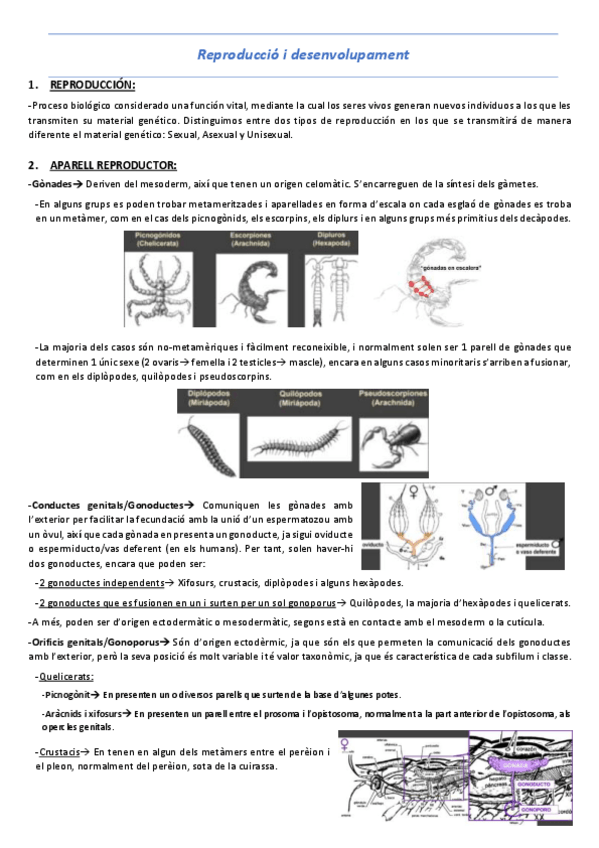 Miniatura del documento T5-Reproduccio-i-desenvolupament.pdf