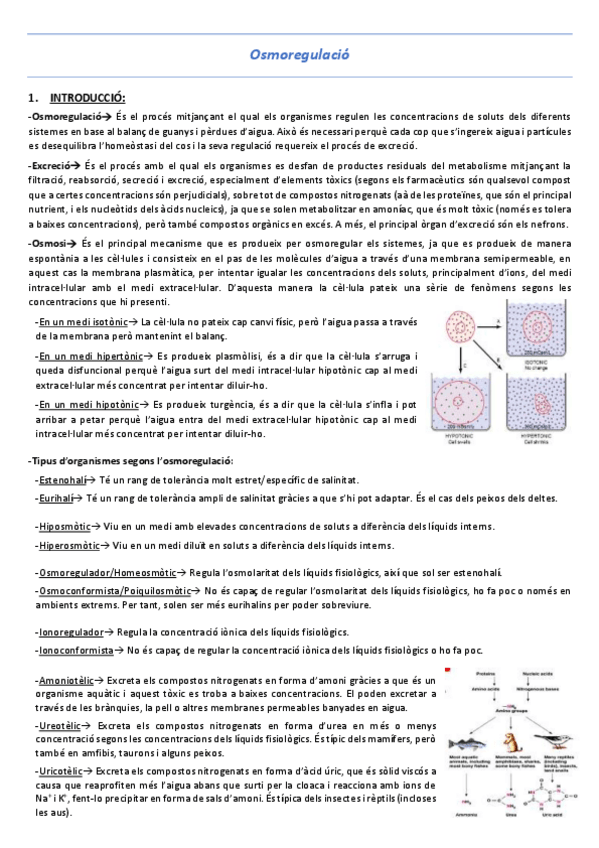 Miniatura del documento T6-Osmoregulacio.pdf