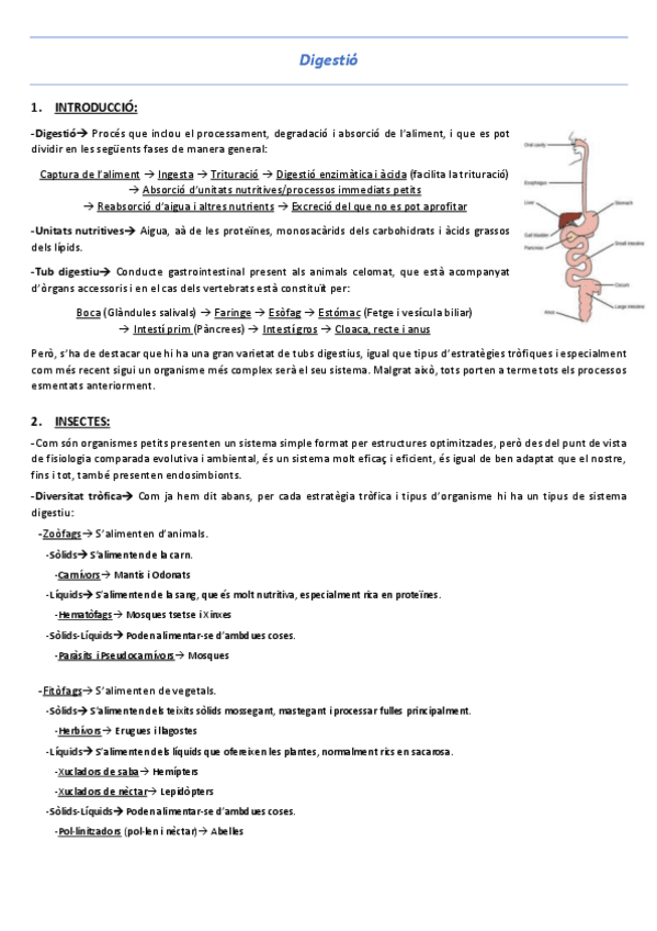 Miniatura del documento T5-Digestio.pdf