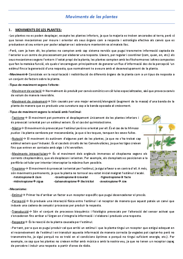 Miniatura del documento T25-Moviments-de-les-plantes.pdf