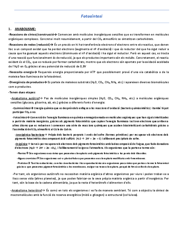 Miniatura del documento T10-13-Fotosintesi-plantes-C3.pdf