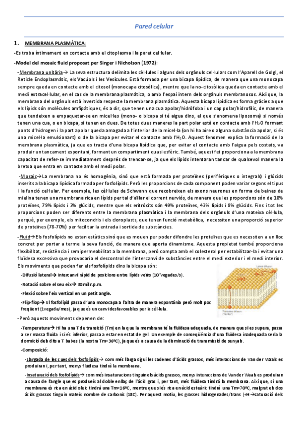 Miniatura del documento T2-3-La-paret-cellular.pdf