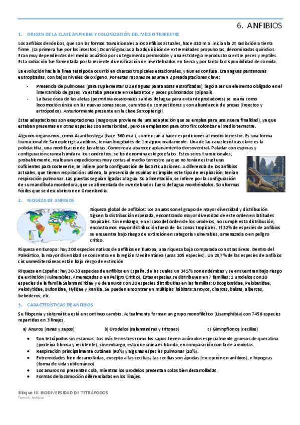 Miniatura del documento Tema-6-ANFIBIOS.pdf