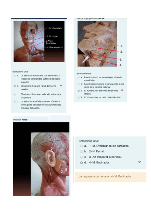 Miniatura del documento examen-parcial-cyc.pdf