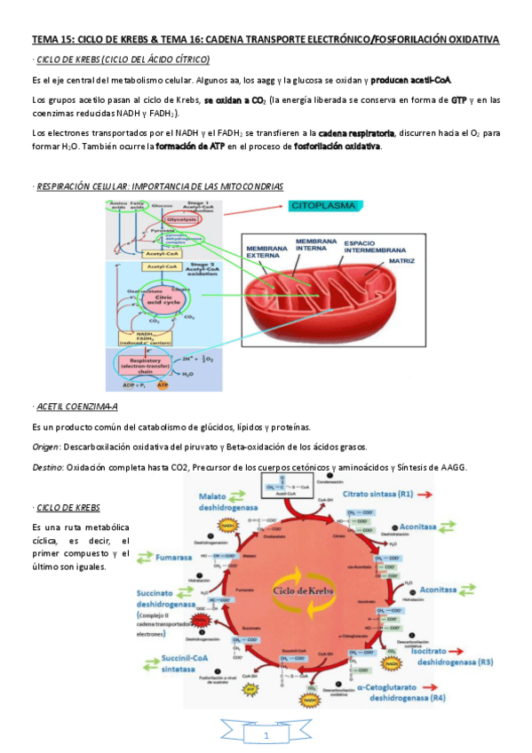 Miniatura del documento Tema-15-y-16.pdf