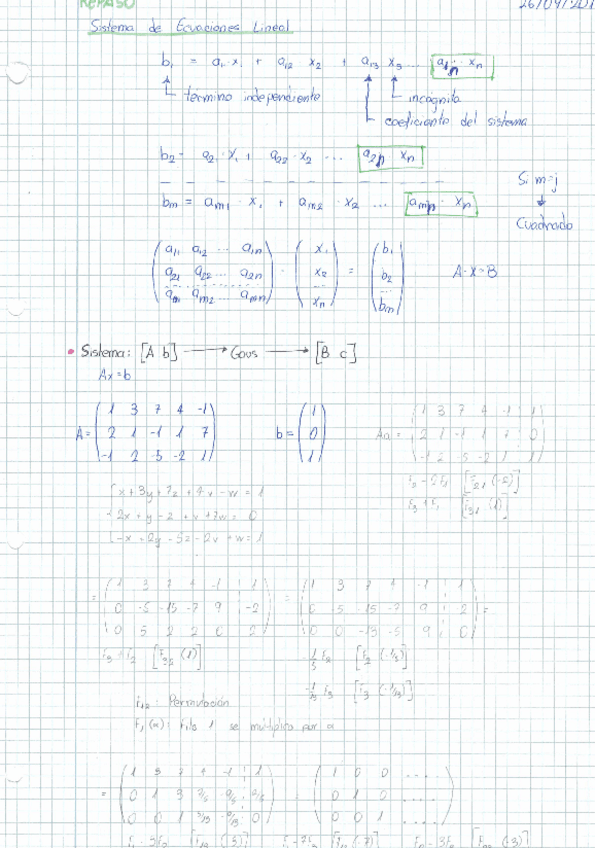 Miniatura del documento Tema 1 - Sistemas de Ecuaciones Lineales.pdf