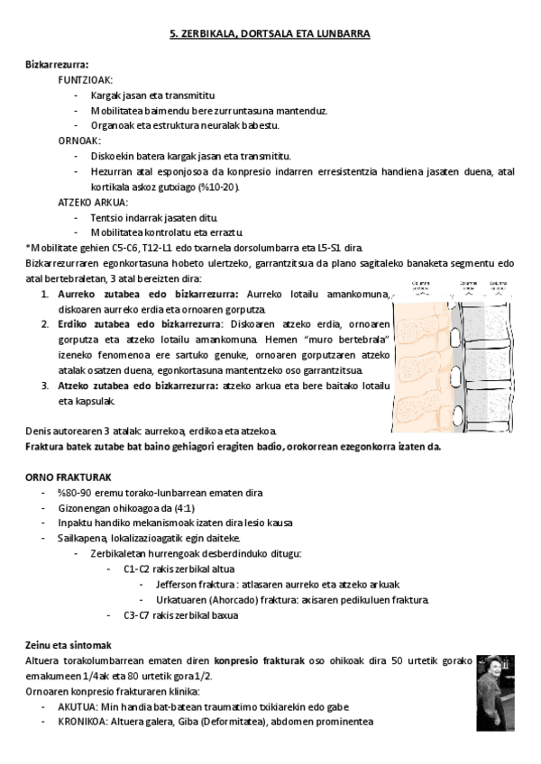 Miniatura del documento 5.-Zerbikala-dortsala-eta-lunbarra.pdf