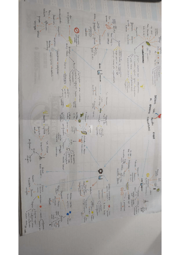 Miniatura del documento T16Drogas-sobre-aparato-circulatorio.pdf