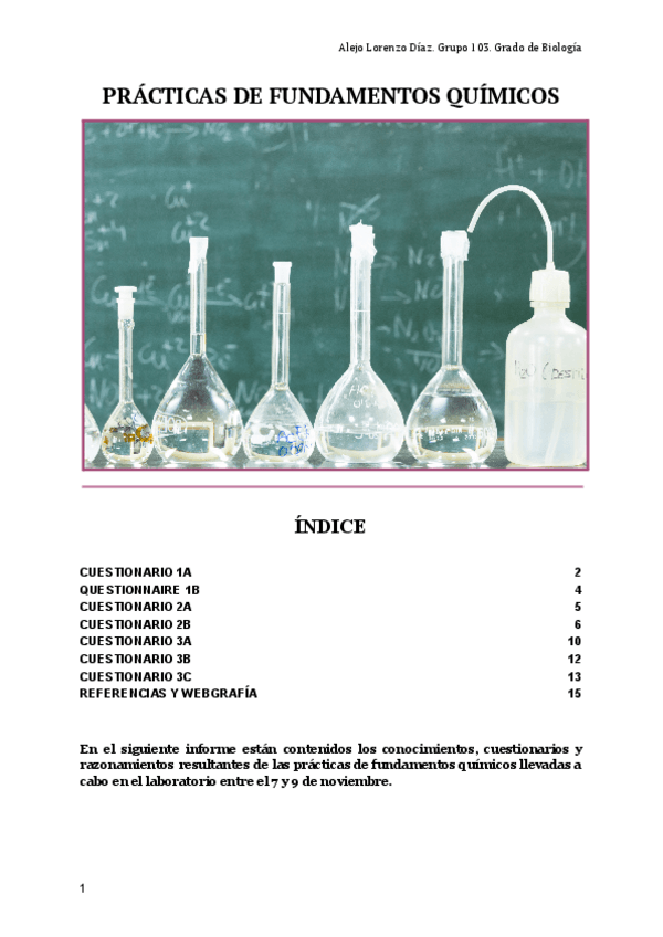 Miniatura del documento INFORME-PRACTICAS-QUIMICA.pdf