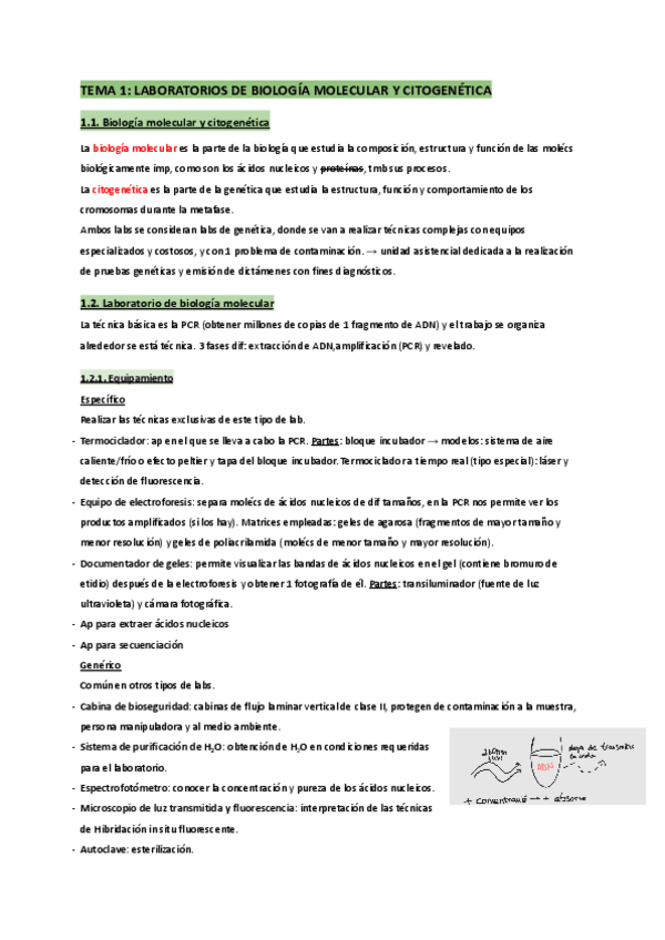 Miniatura del documento T.1-Biología molecular y citogenética.pdf