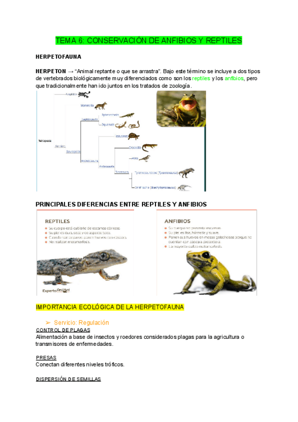Miniatura del documento Tema-6.pdf.pdf
