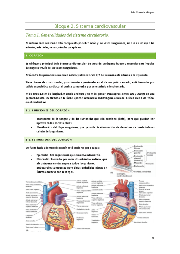 Miniatura del documento Bloque-2.-Sistema-cardiovascular.pdf