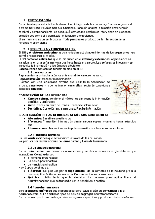 Miniatura del documento Sistema-nervioso-y-endocrino.pdf