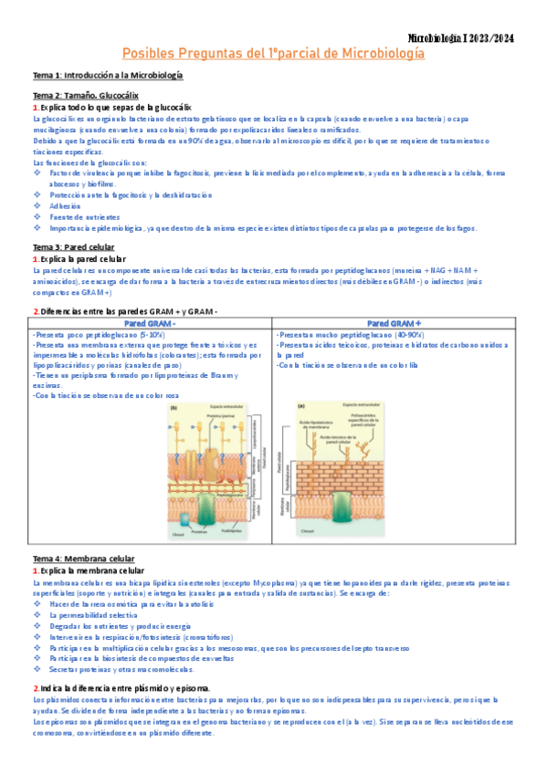 Miniatura del documento Microbiologia-1pp.pdf