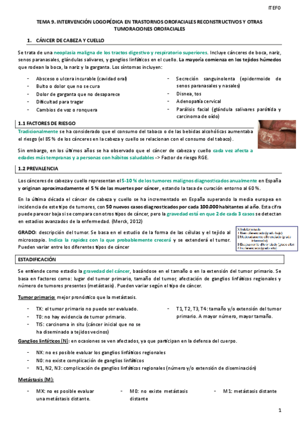 Miniatura del documento TEMA-9.pdf