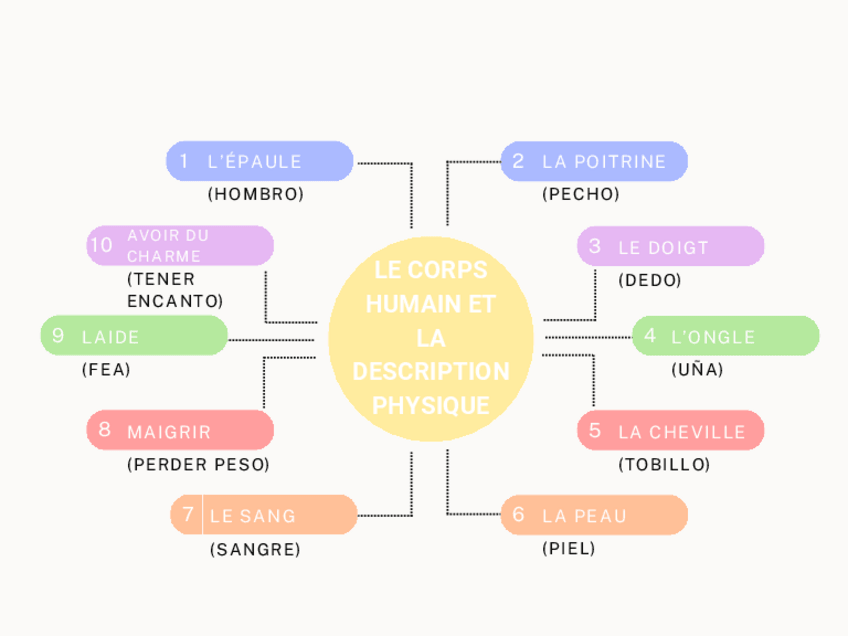 Miniatura del documento LE-CORPS-HUMAIN-ET-LA-DESCRIPTION-PHYSIQUE.pdf