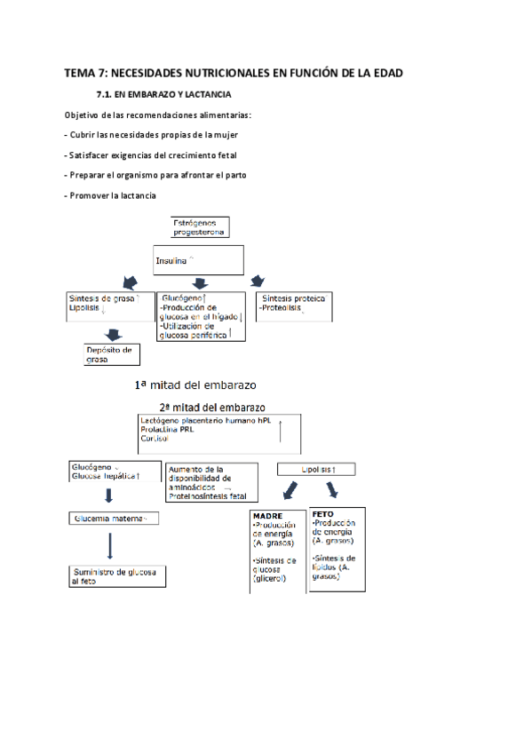 Miniatura del documento TEMA-7-ESCRITO.pdf