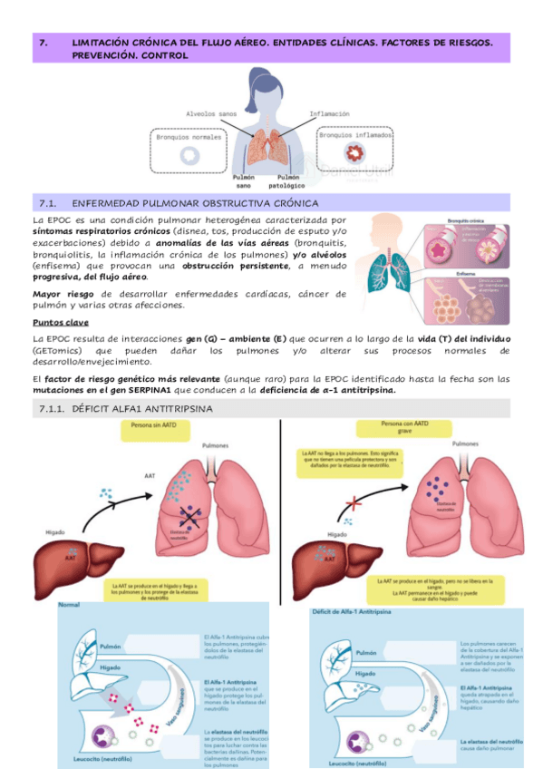 Miniatura del documento Tema-3.7.-Limitacion-cronica-del-flujo-aereo.-Entidades-clinicas.-Factores-de-riesgos.-Prevencion.-Control.pdf