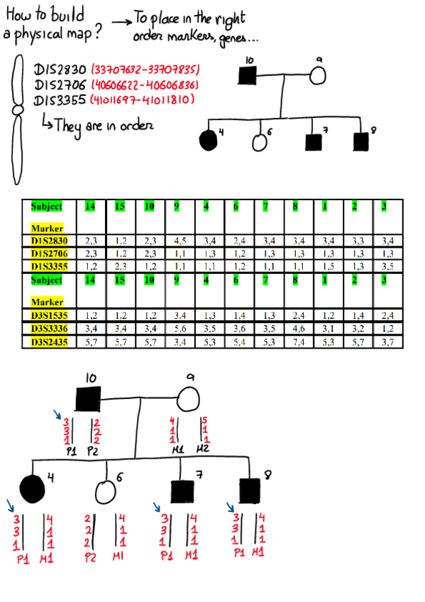 Miniatura del documento CB-Topic-4-handwritten-exercises.pdf