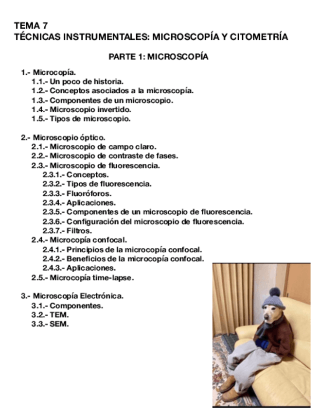 Miniatura del documento TEMA-7.1-CULT.pdf