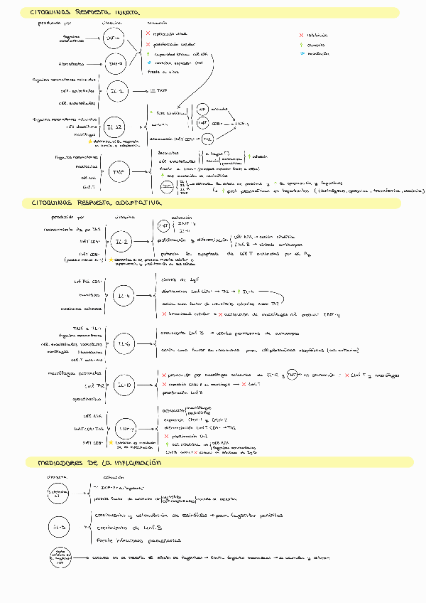 Miniatura del documento T.6-Esquema-citoquinas.pdf