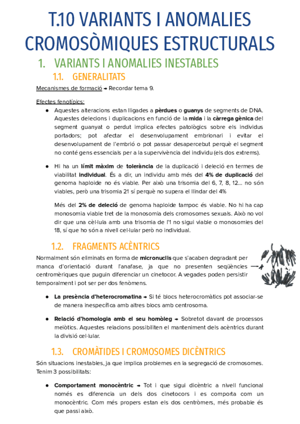 Miniatura del documento T.10-VARIANTS-I-ANOMALIES-CROMOSOMIQUES-ESTRUCTURALS.pdf