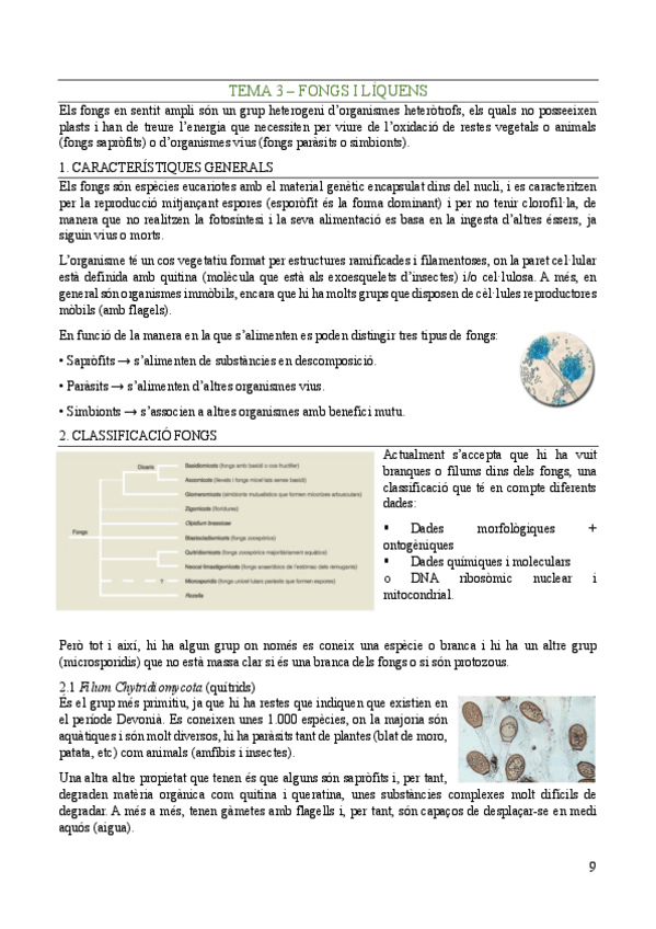 Miniatura del documento Biologia-Vegetal-Tema-3.pdf