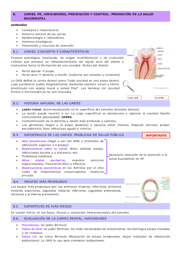 Miniatura del documento Tema-3.8.-Caries.-FR-indicadores-prevencion-y-control.-Promocion-de-la-salud-bucodental.pdf