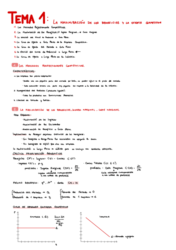 Miniatura del documento Micro-II-Apuntes-tema-1.pdf