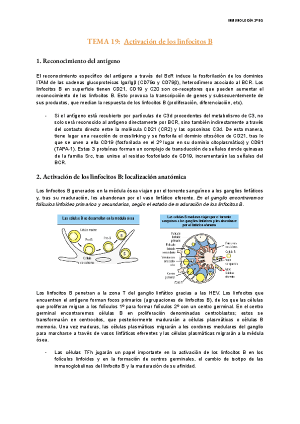 Miniatura del documento TEMA-19-Inmunologia.pdf