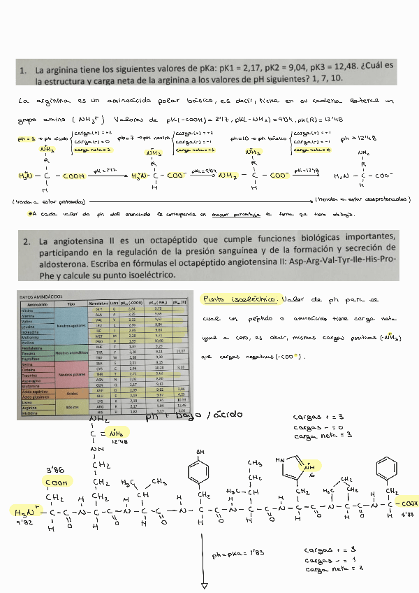 Miniatura del documento Seminario-1-bioquimica.pdf