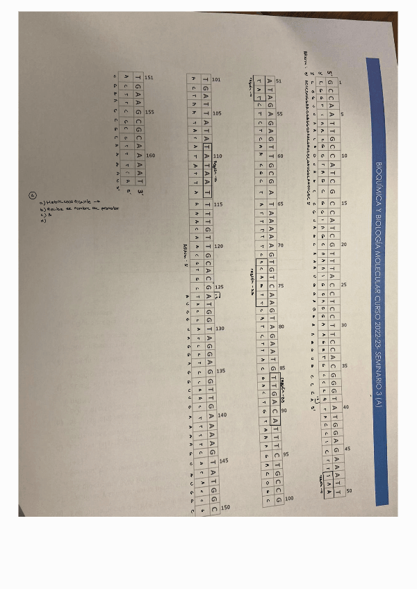 Miniatura del documento Seminario-3-bioquimica.pdf
