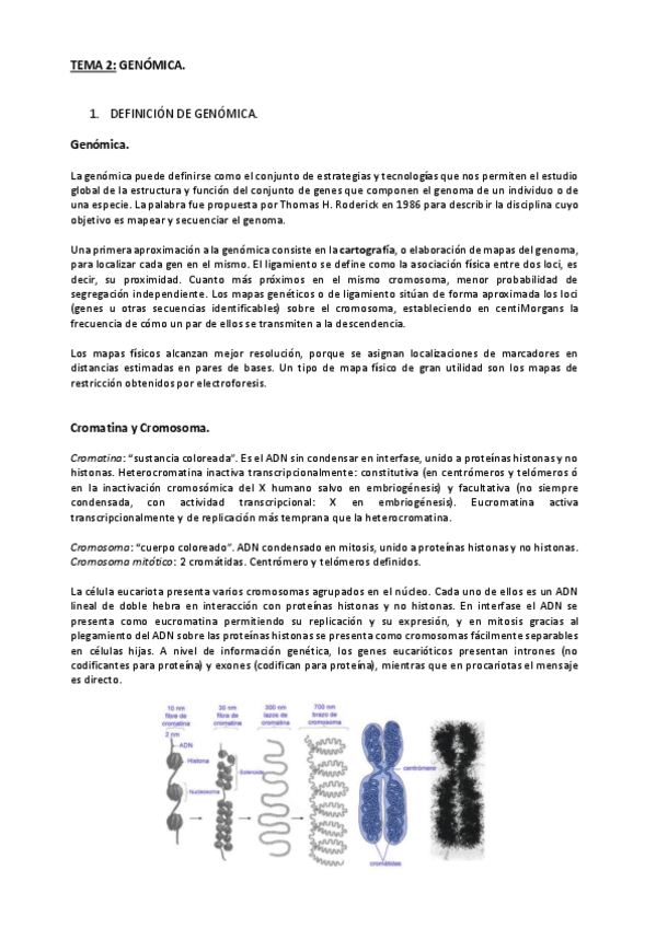Miniatura del documento Tema-2.pdf