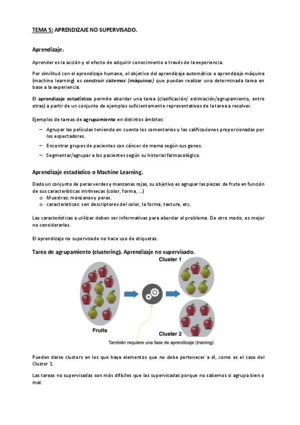 Miniatura del documento TEMA-5.pdf