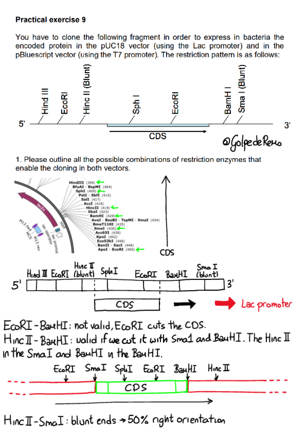 Miniatura del documento Cloning-for-dummies.pdf